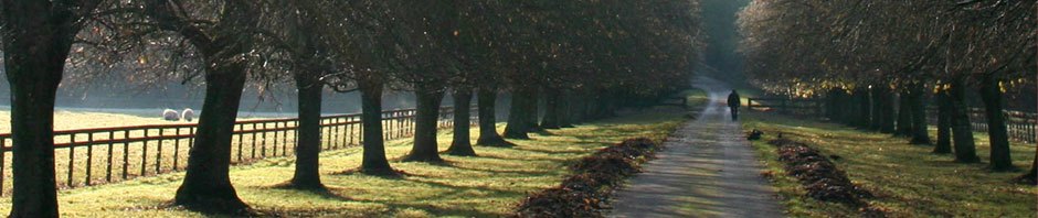 BahnTag – Münsterland